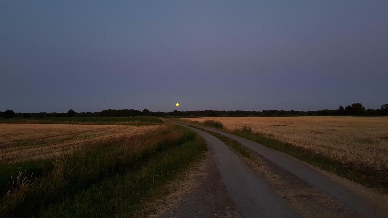 Ferienwohnung Utkiek Aurich Zewnętrze zdjęcie