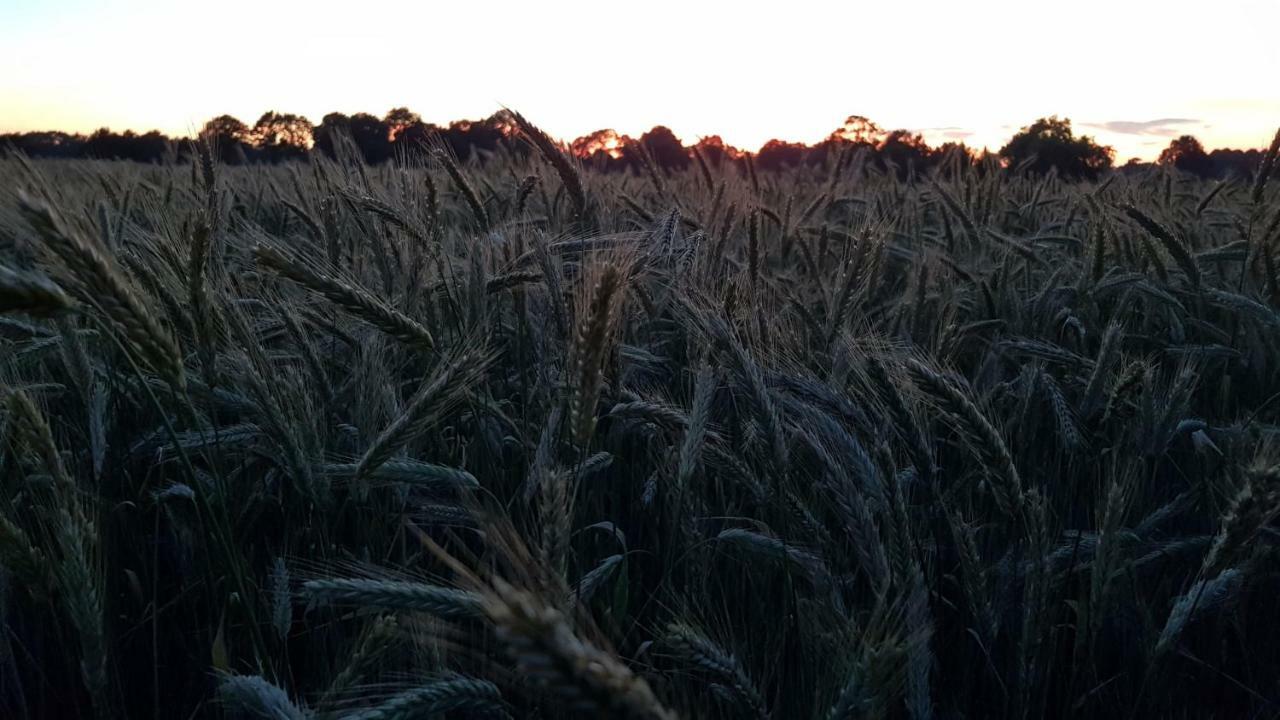 Ferienwohnung Utkiek Aurich Zewnętrze zdjęcie